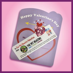 The Pet Beastro Valentine's day promotion