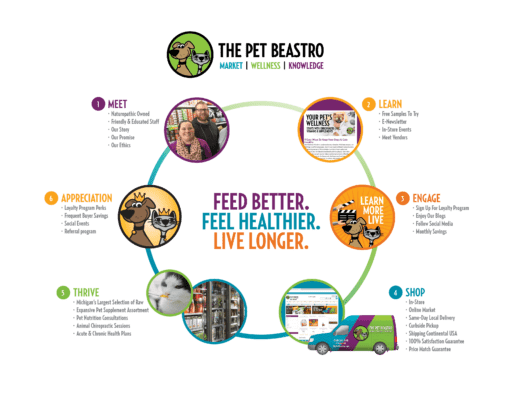 BC & Associates Marketing Small Business Marketing Agency: Example of Customer Journey. Client The Pet Beastro