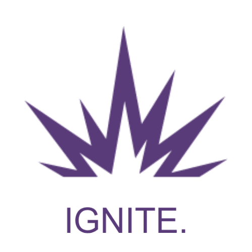 Brand Ignite Icon - BC Associates